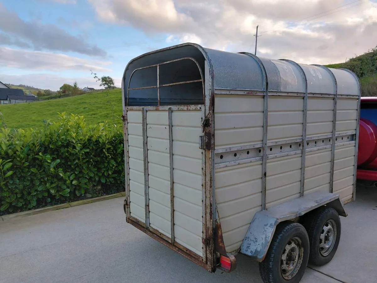 Cow trailer - Image 2
