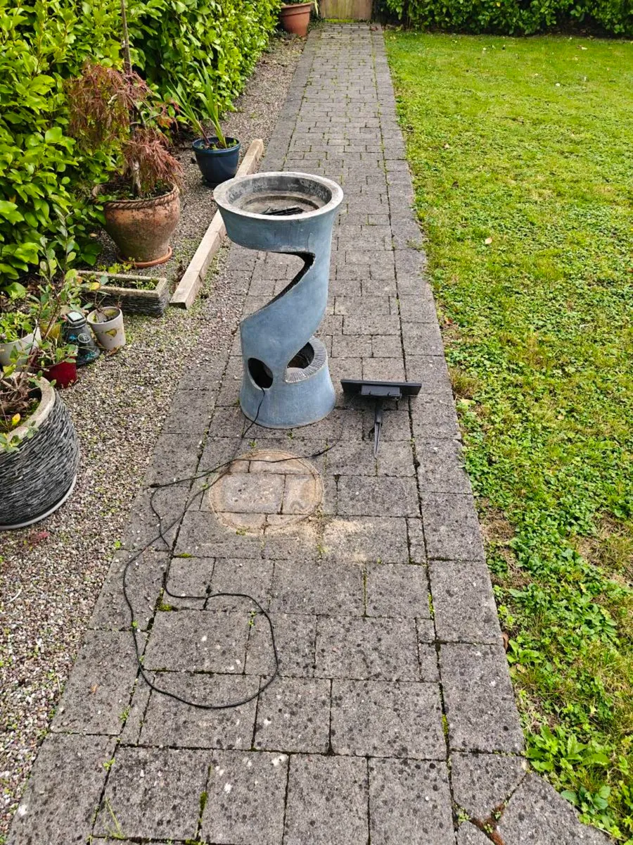 Garden plants feature - Image 1
