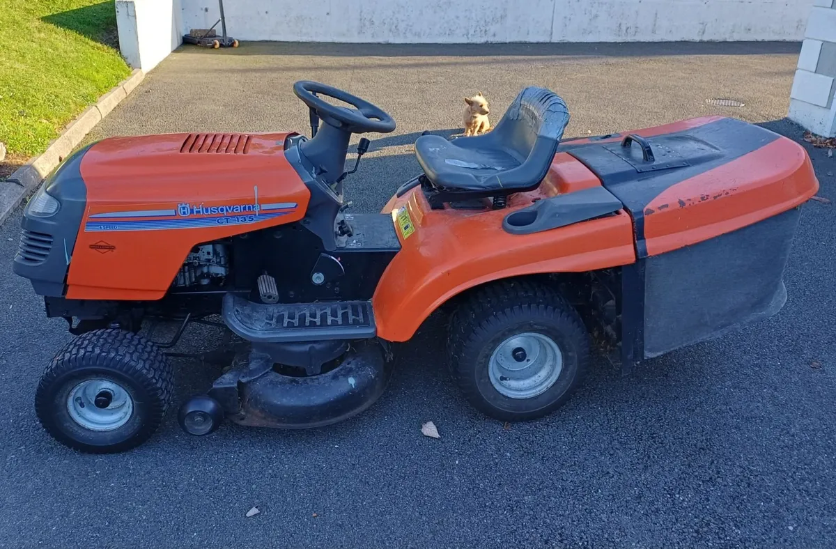 Ride on Lawnmower - Image 1