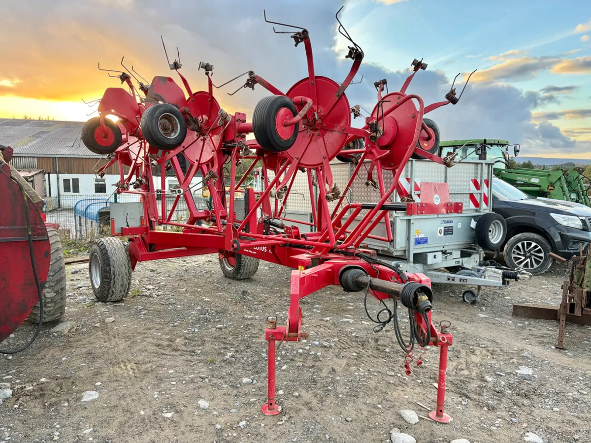Final Entries Portlaoise Auction Next Saturday - Image 3