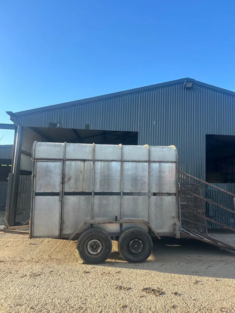 2 cow cattle trailer - Image 1
