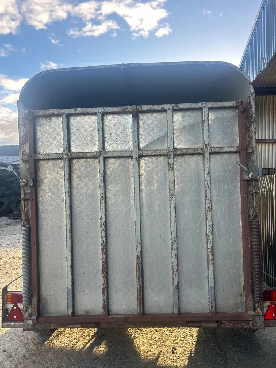 2 cow cattle trailer - Image 2