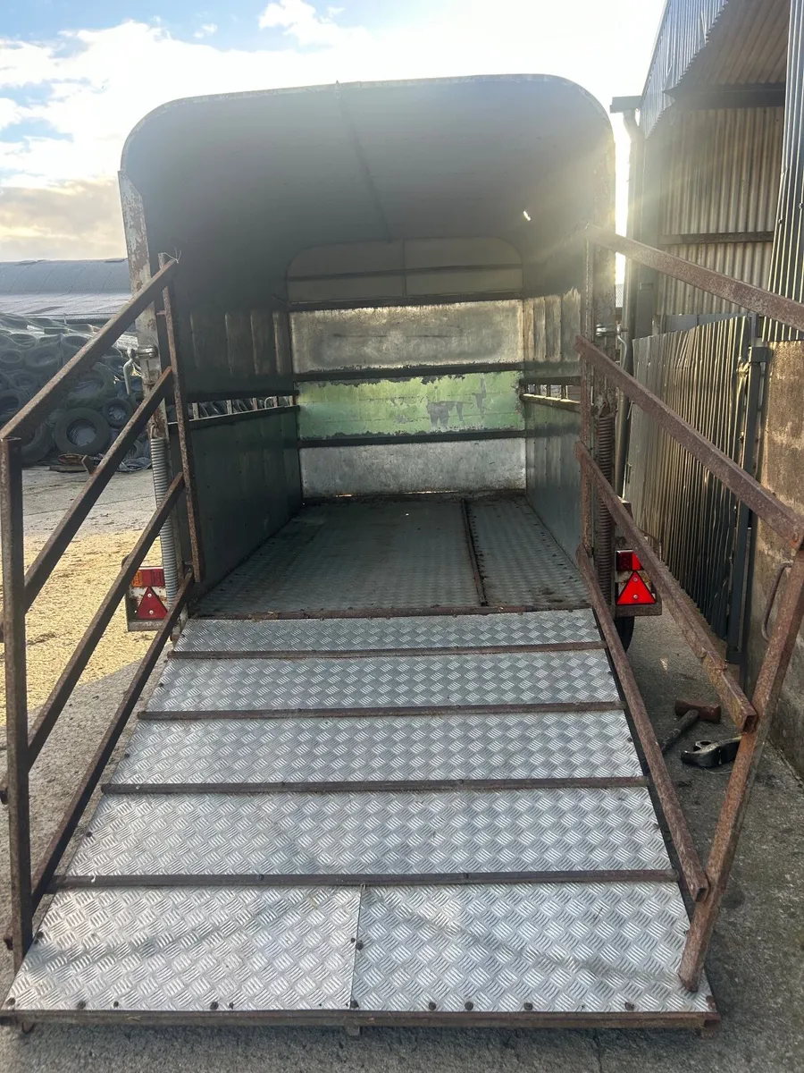 2 cow cattle trailer - Image 3