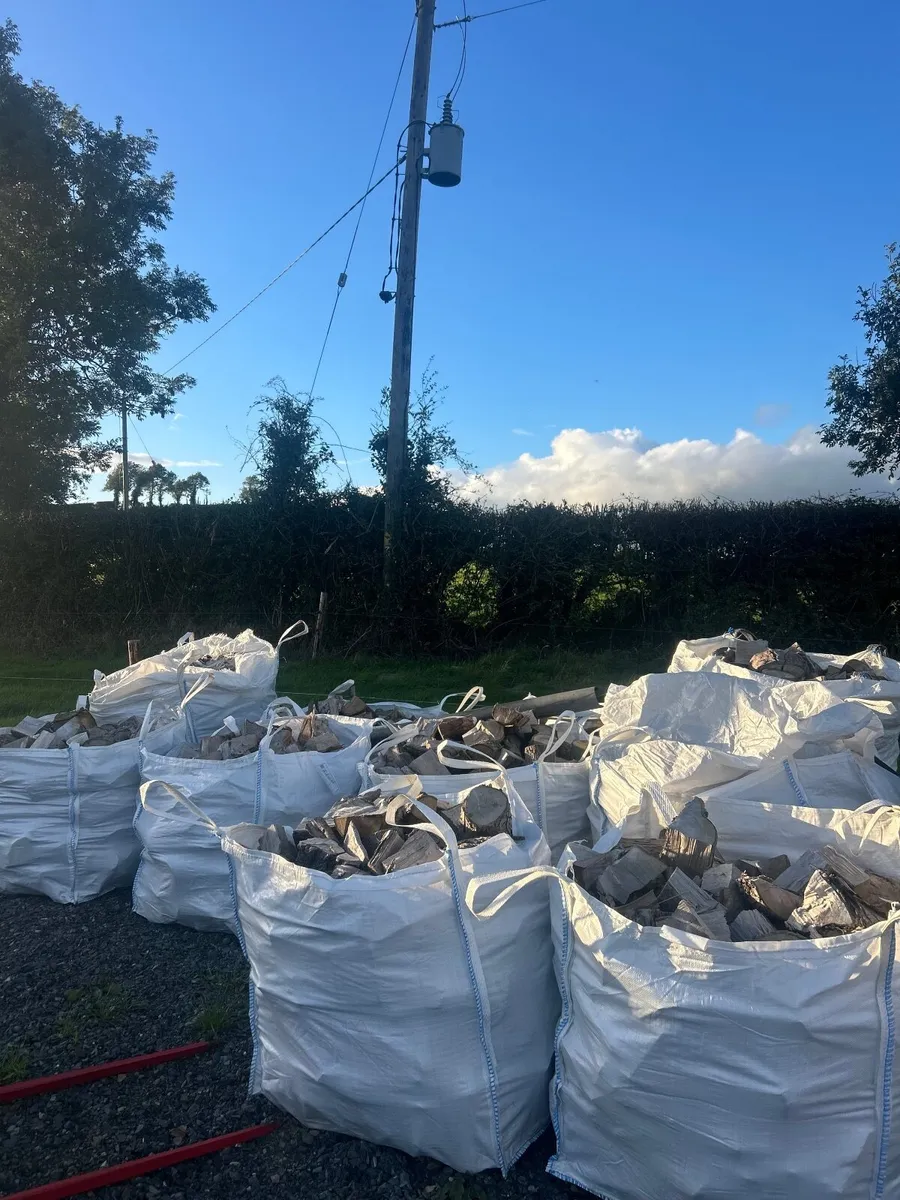 Firewood 15 bags - Image 2