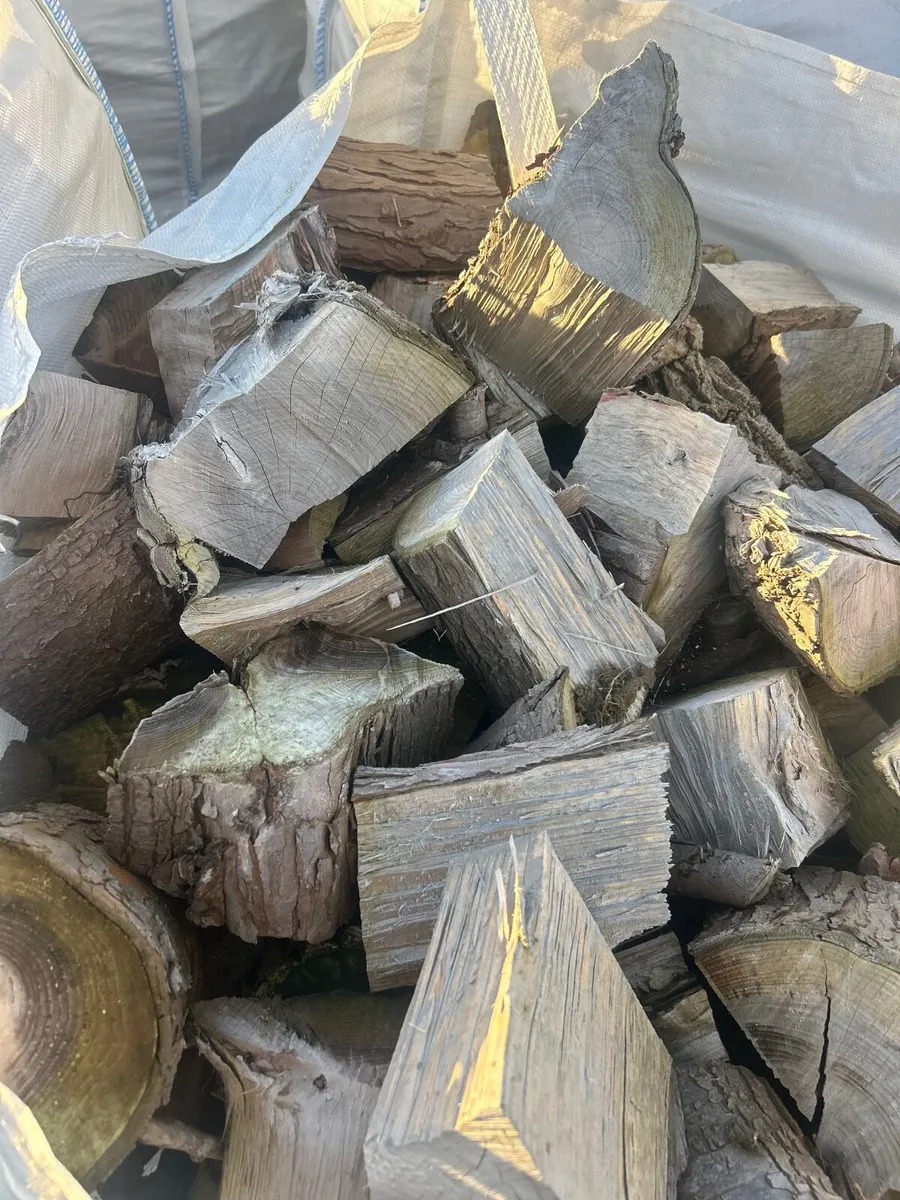 Firewood 15 bags - Image 4