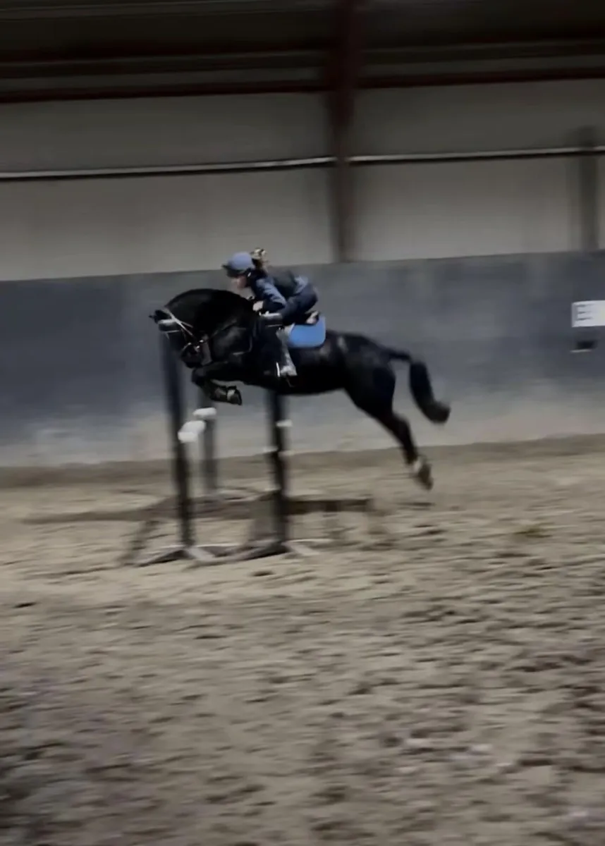 🦄Pippy Short Stockings 14hh superstar🦄 - Image 3