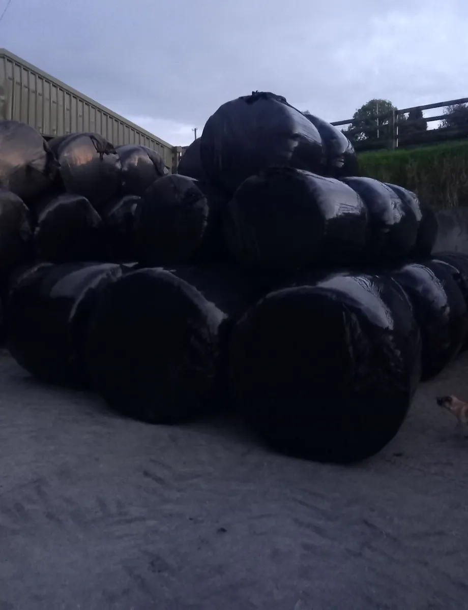 Silage Bales