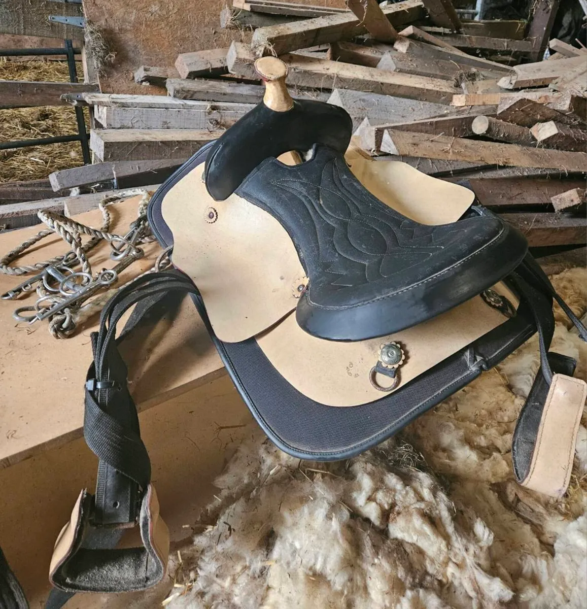 Saddles - Image 1