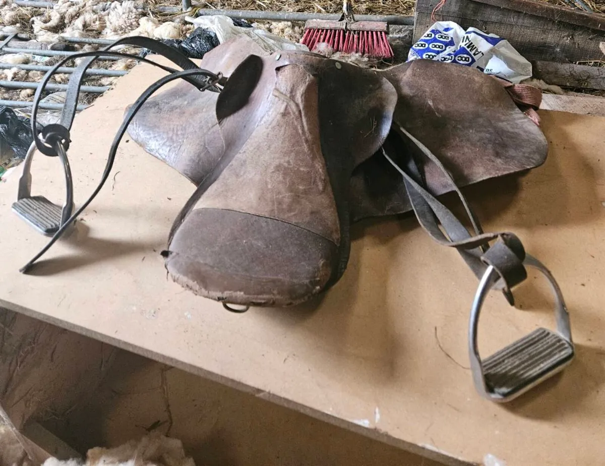 Saddles - Image 2