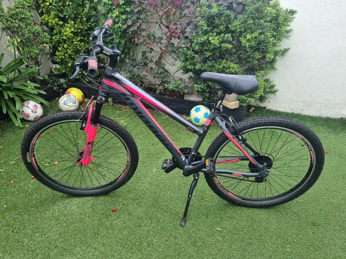 Girls mountain Bike - Image 2