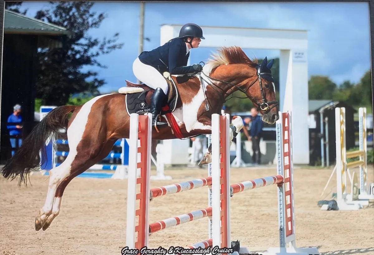 ⭐️ LOT 118 Goresbridge 20th Oct ⭐️ - Image 1