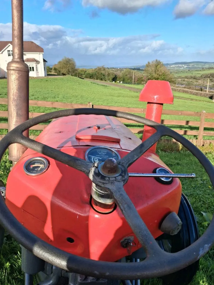 Massey ferguson 35x - Image 4