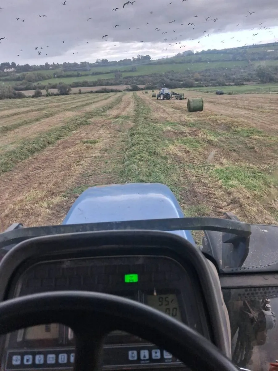Silage Bales - Image 3