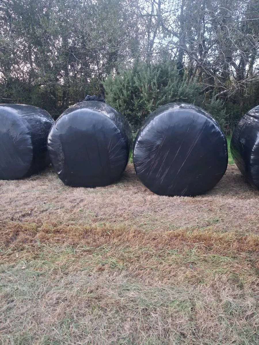 Silage Bales - Image 4
