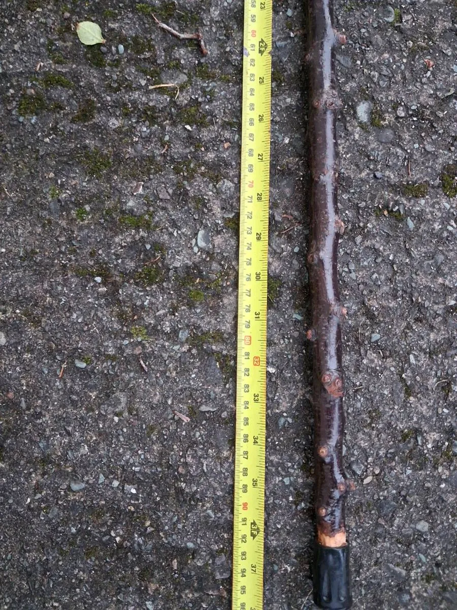 Blackthorn walking stick - Image 3