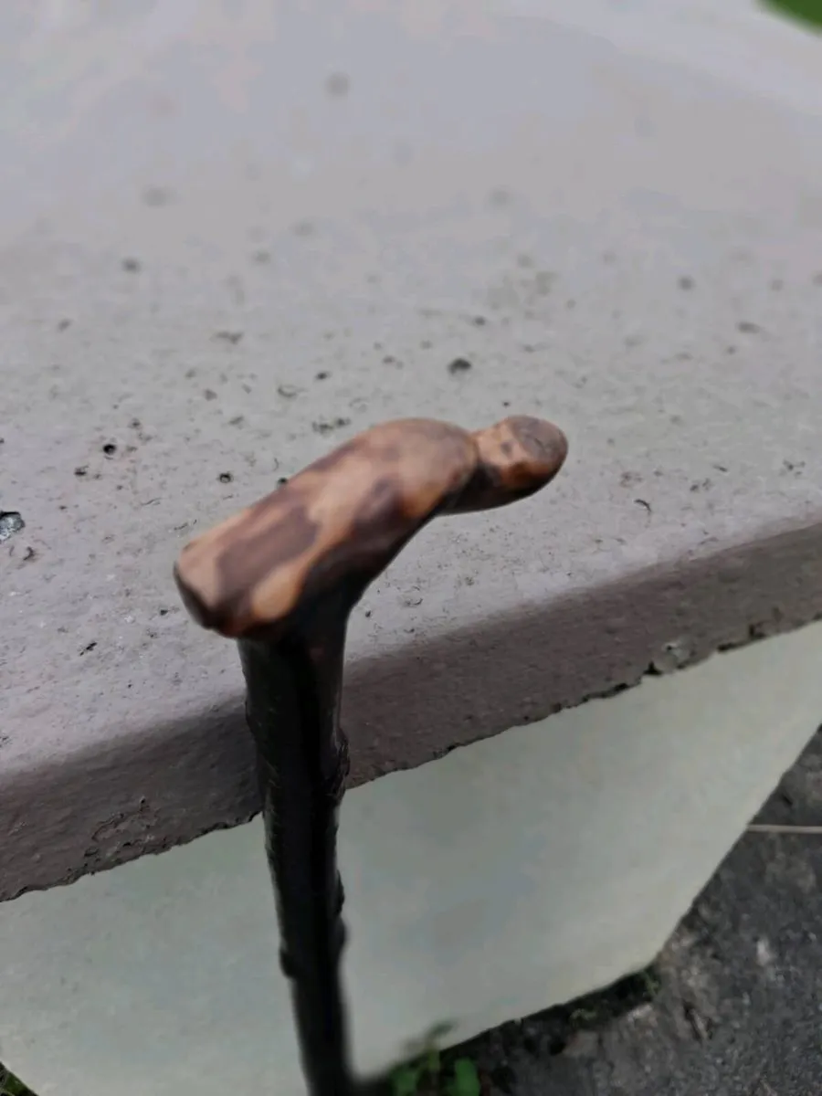 Blackthorn walking stick - Image 1