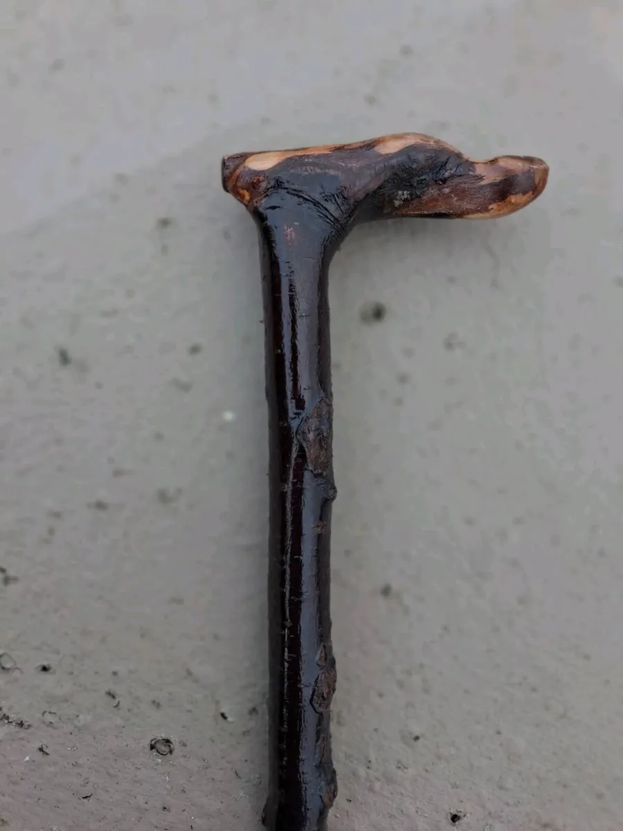 Blackthorn walking stick - Image 2