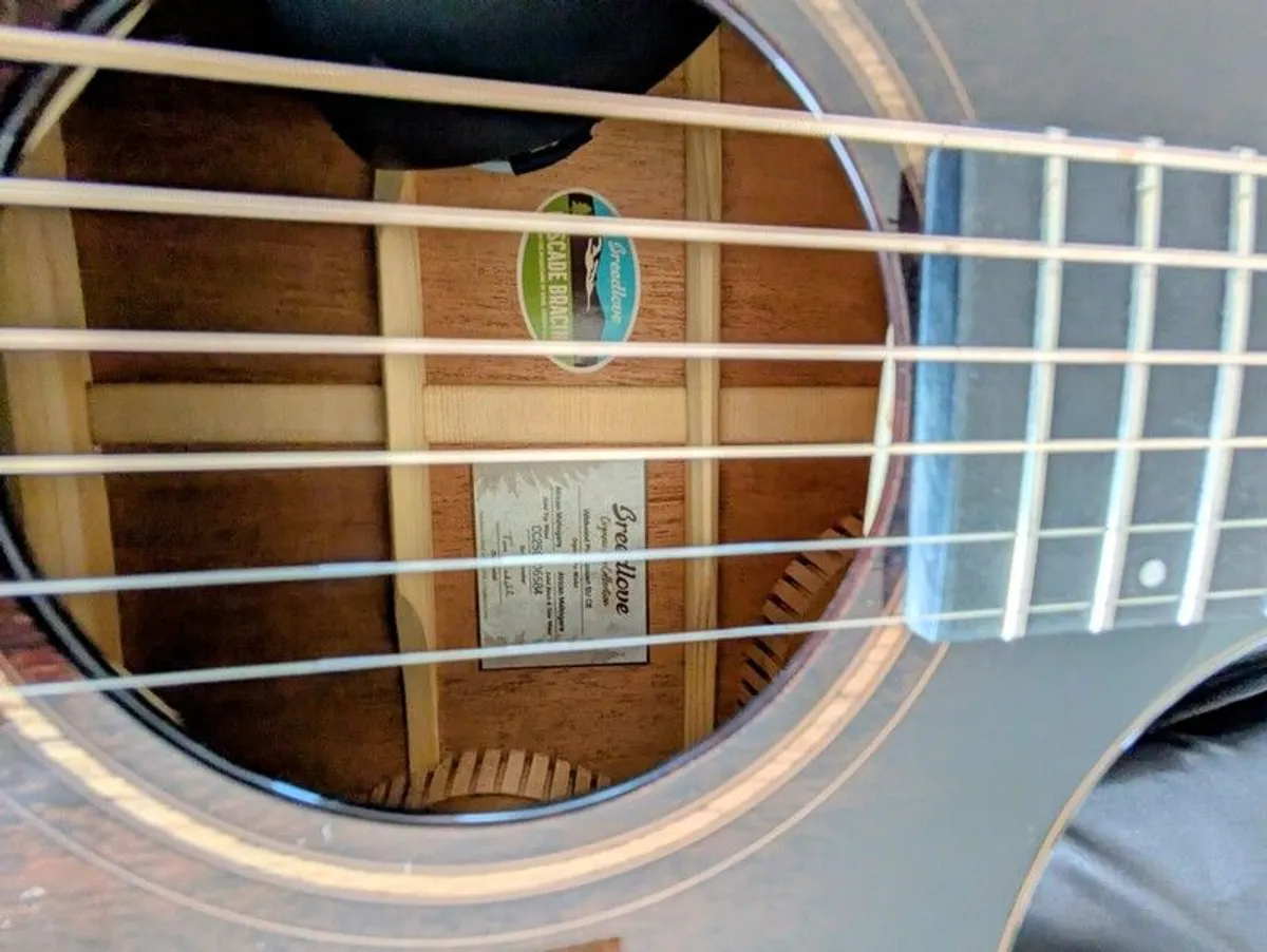 Breedlove Concert Pro guitar. - Image 2