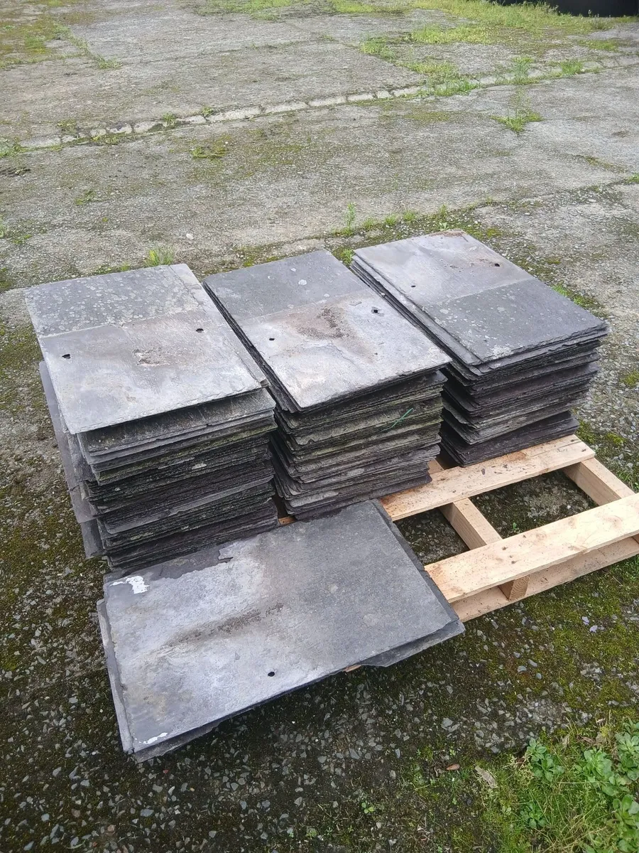Blue Bangor Slates - Image 1