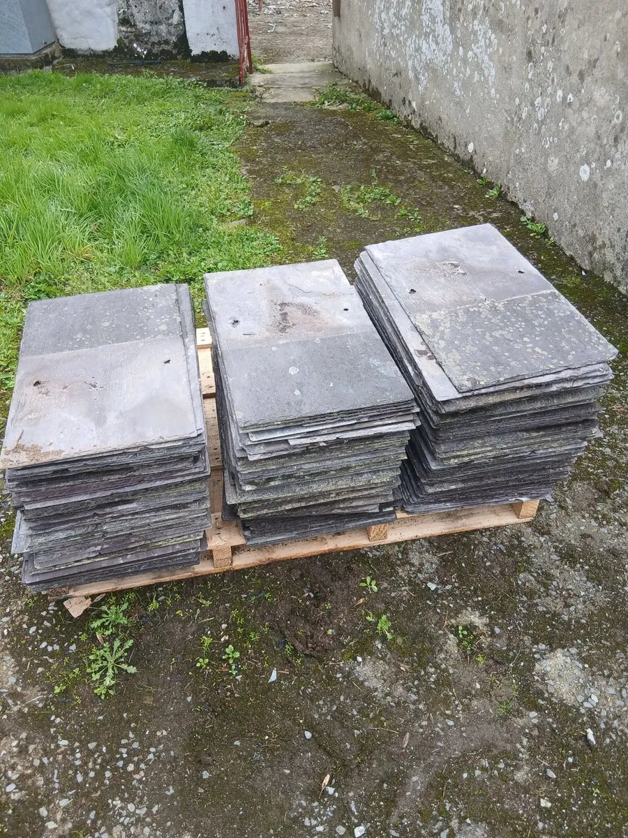 Blue Bangor Slates - Image 3