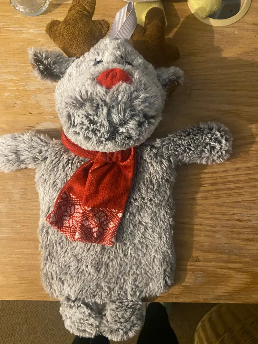 Novelty hot water bottle