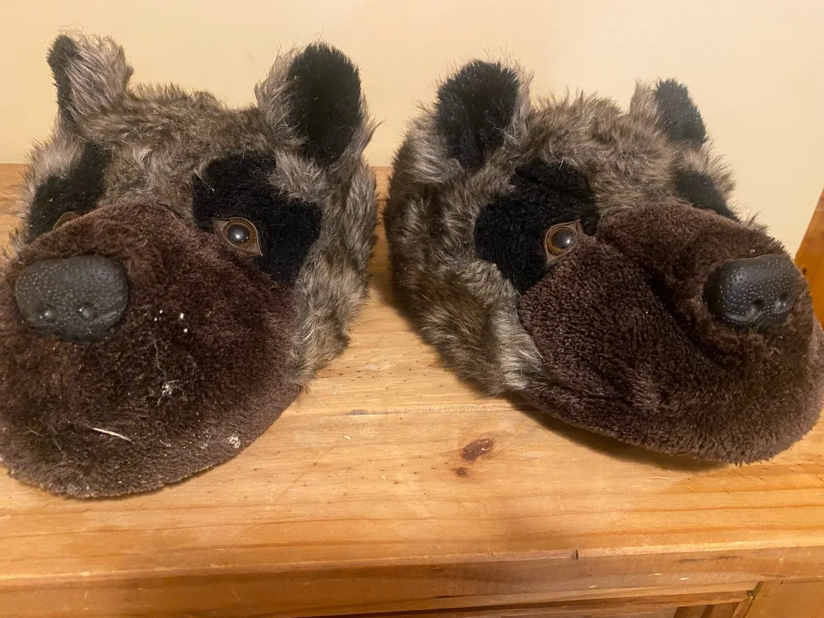 Novelty slippers