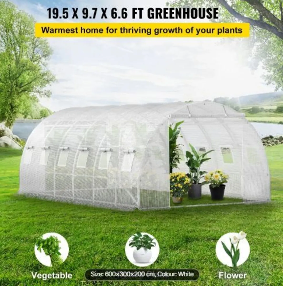 Walk-in Tunnel Greenhouse - Image 4