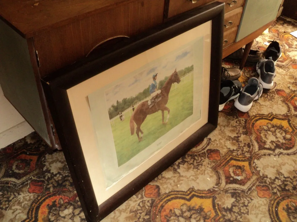 Racehorse Nashwan picture - Image 2