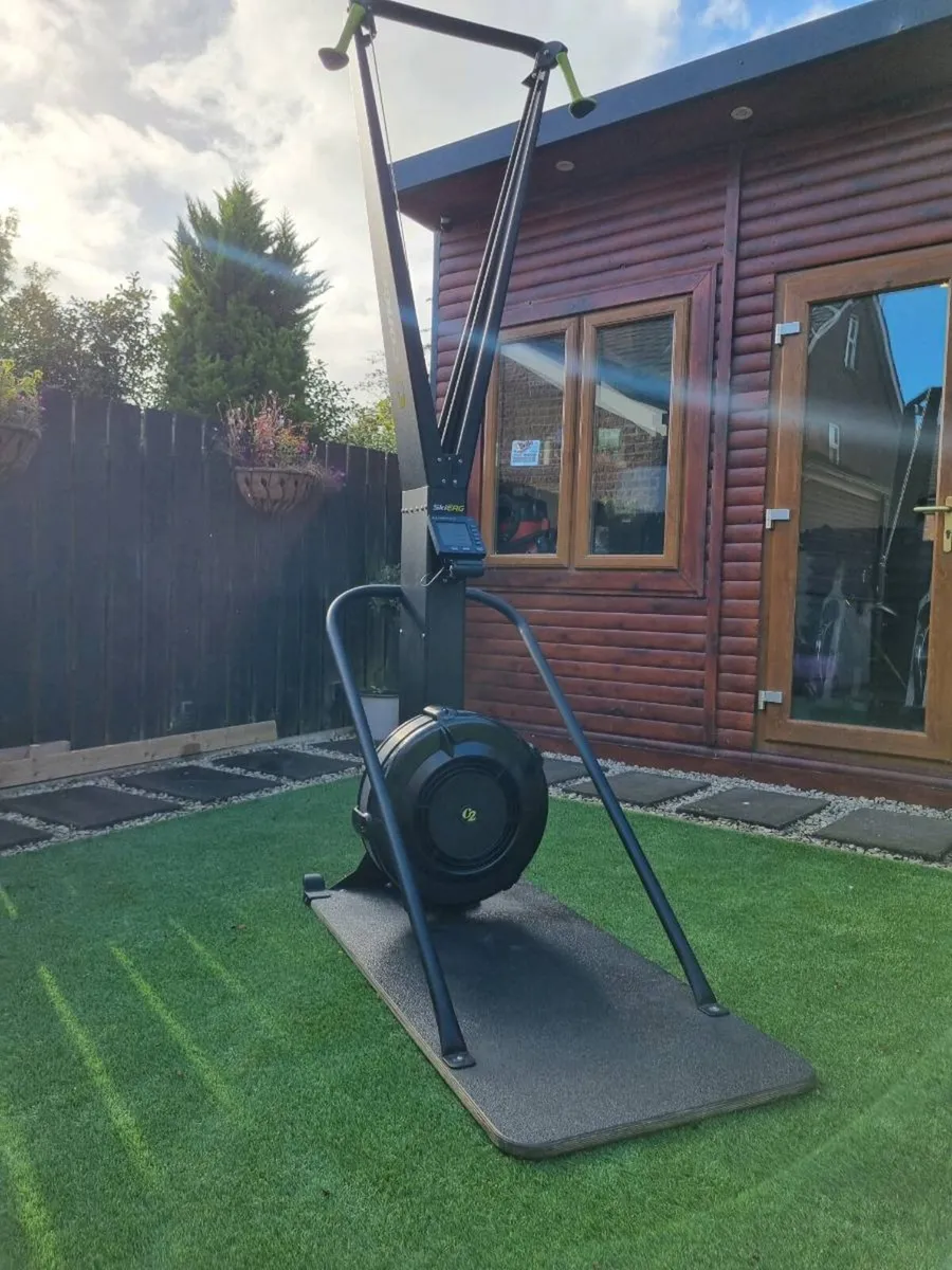 Concept 2 Ski Erg - Image 2