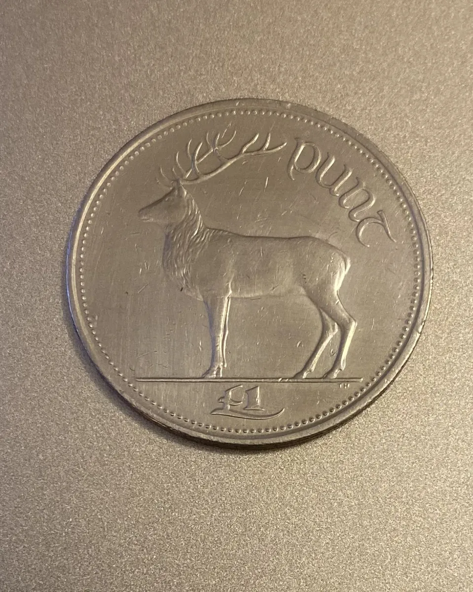 Irish Red deer coin from 1999, Free Post - Image 1