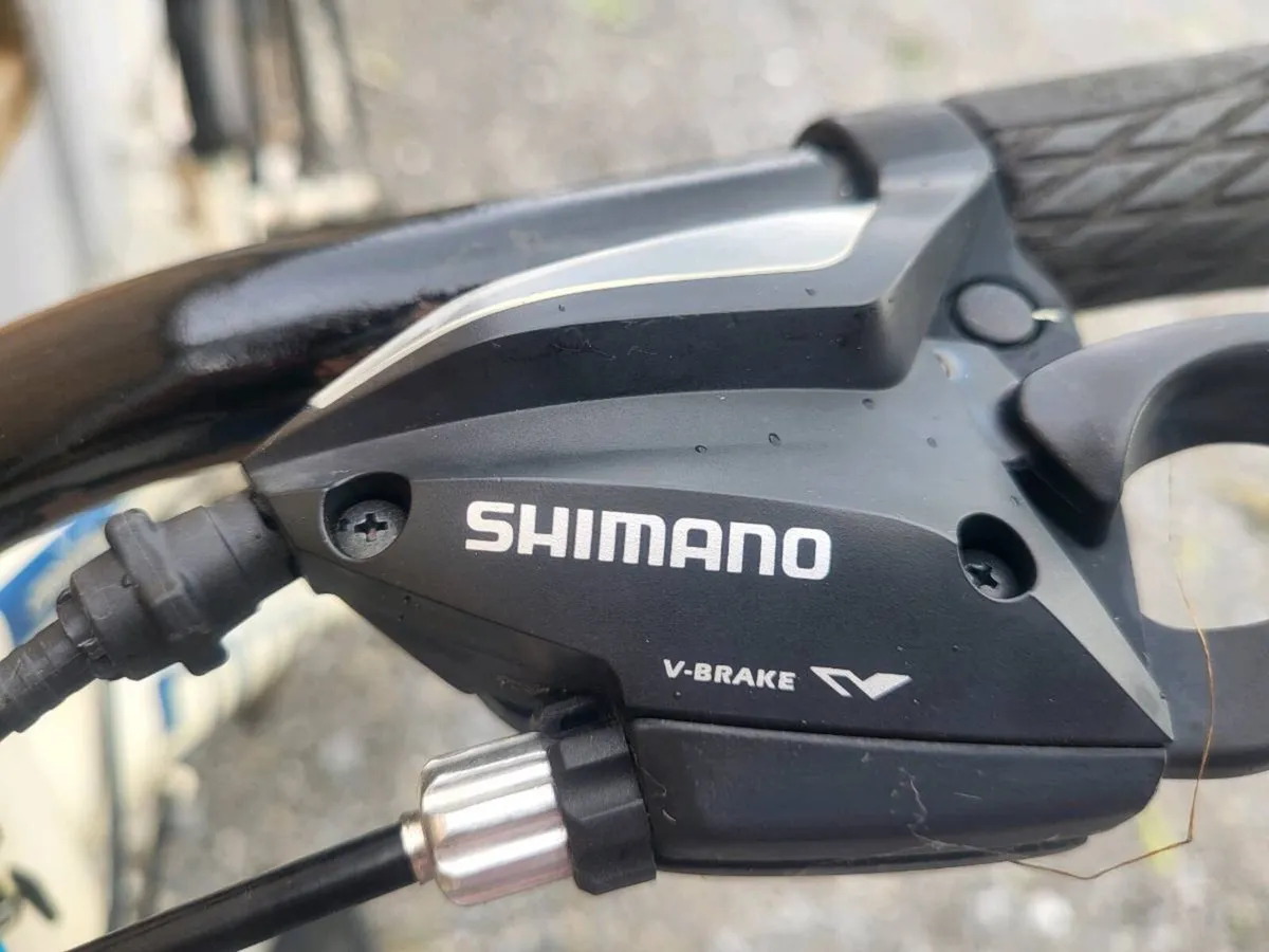 Bicycle - Image 2