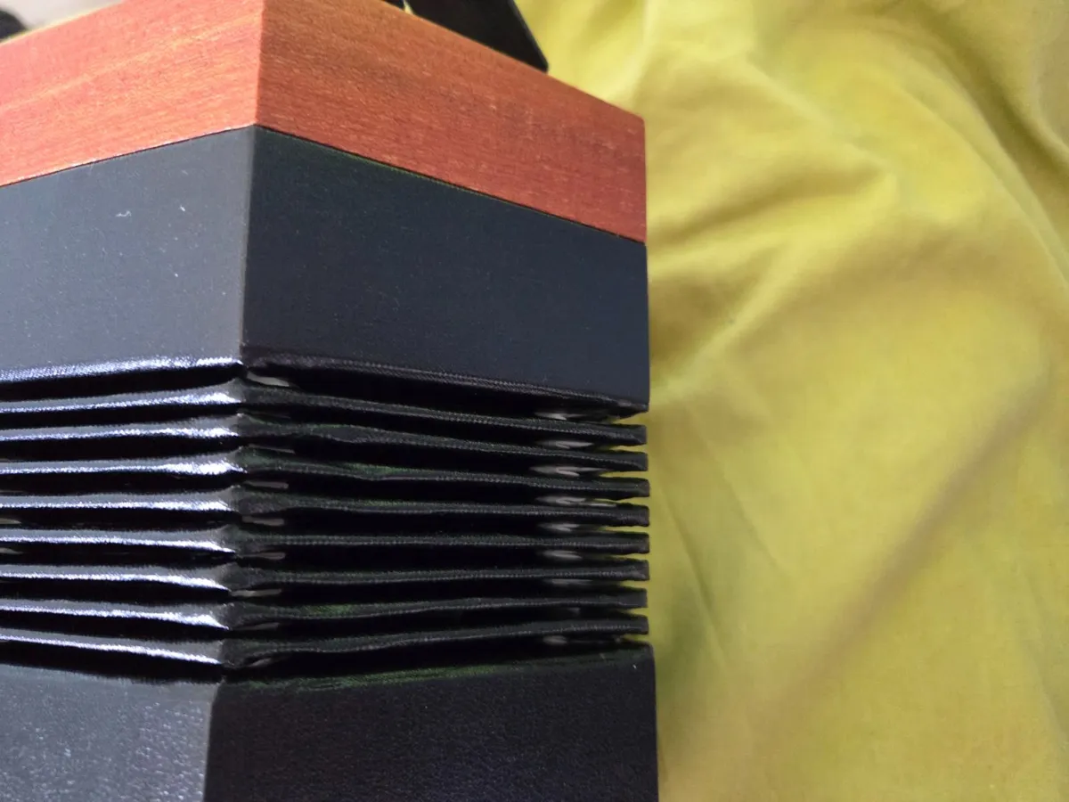 Concertina with case - Image 2