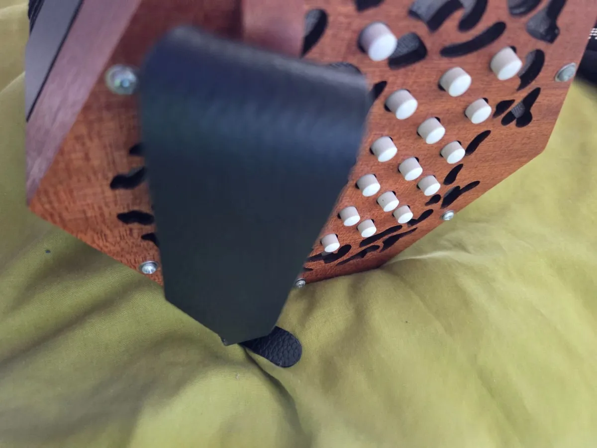Concertina with case - Image 1