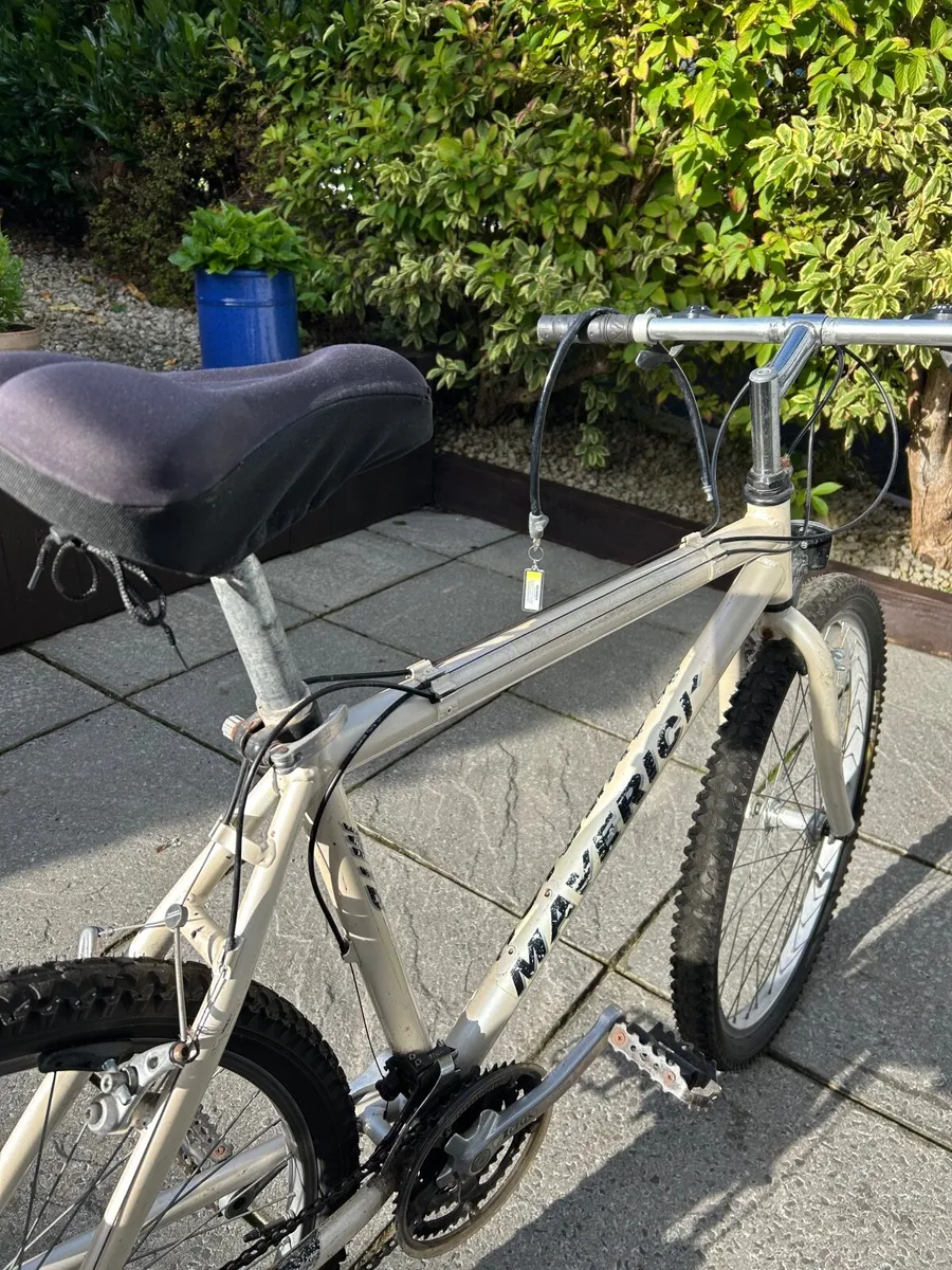 Adulte Bike - Image 2