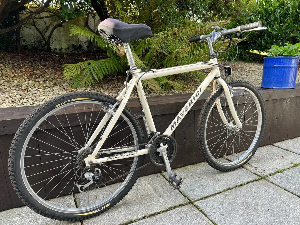 Adulte Bike - Image 4