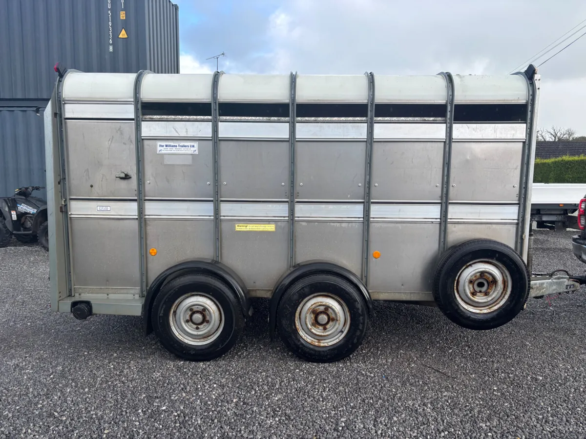 Ifor williams 12ft x 5ft 10” cattle /sheep trailer - Image 1