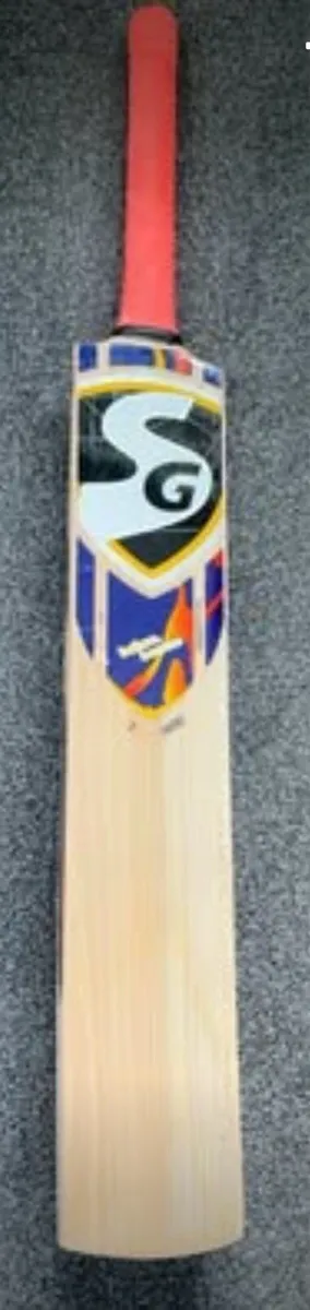 SG T-1600 Kashmir Willow cricket bat - Image 1