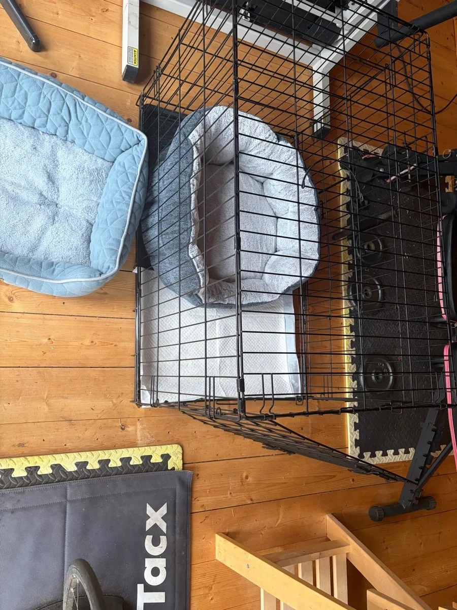 Dog Crate