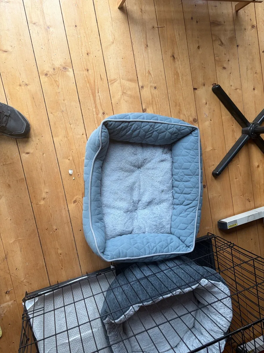 Dog beds x 2 - Image 1