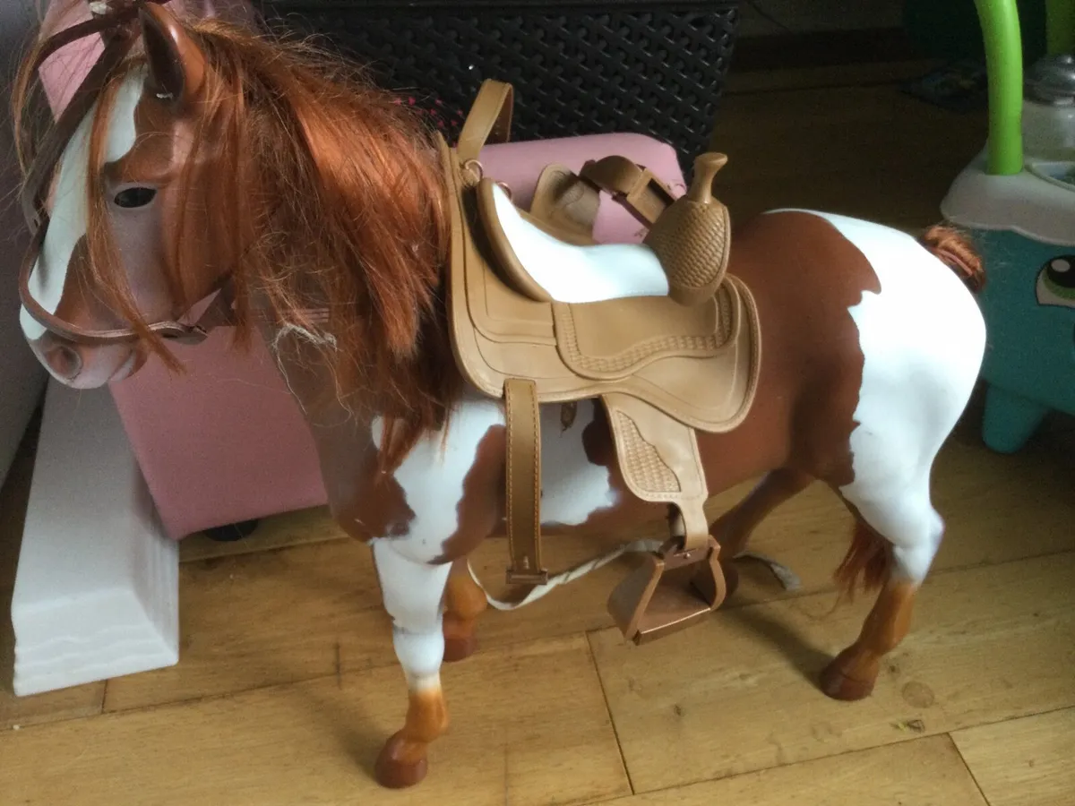 Our generation horse