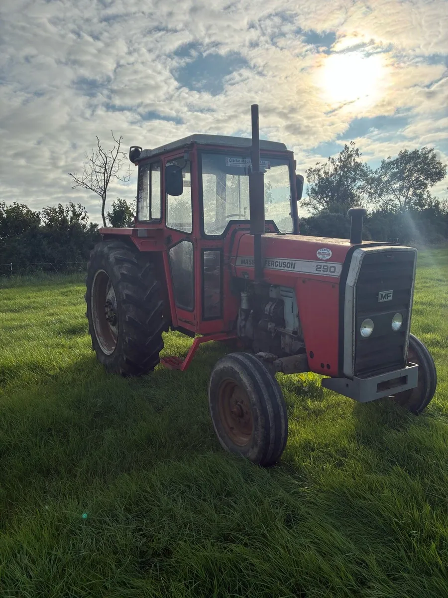 Massey 290 - Image 2