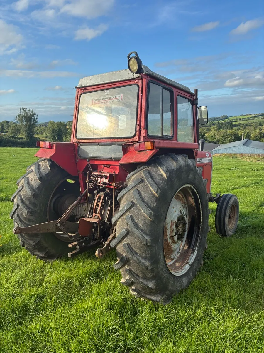 Massey 290 - Image 3