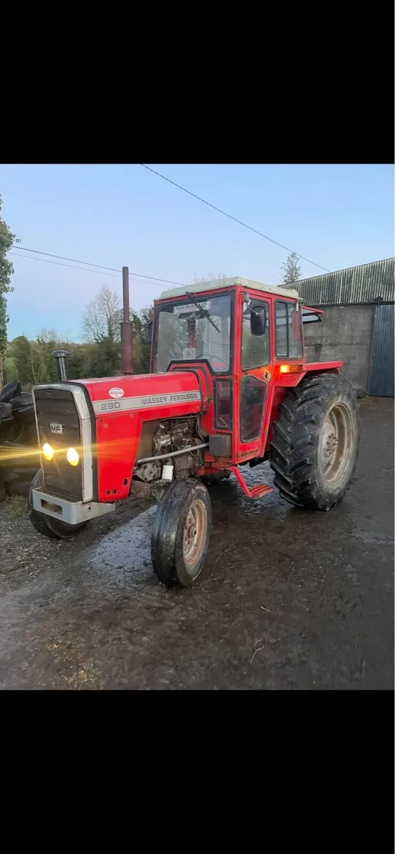 Massey 290 - Image 1