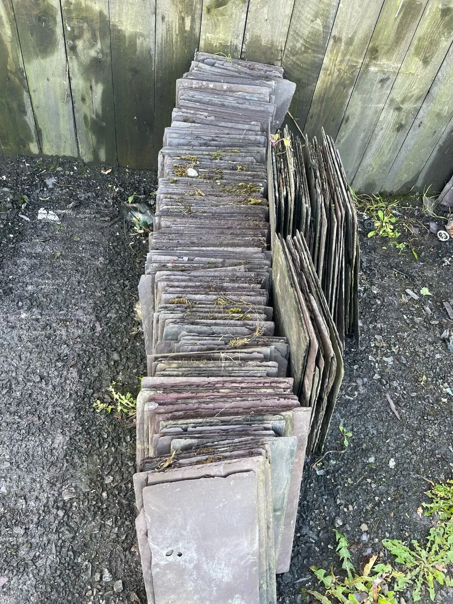 Blue Bangor slates - Image 1