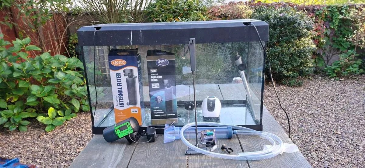 Fish Tank - Image 1