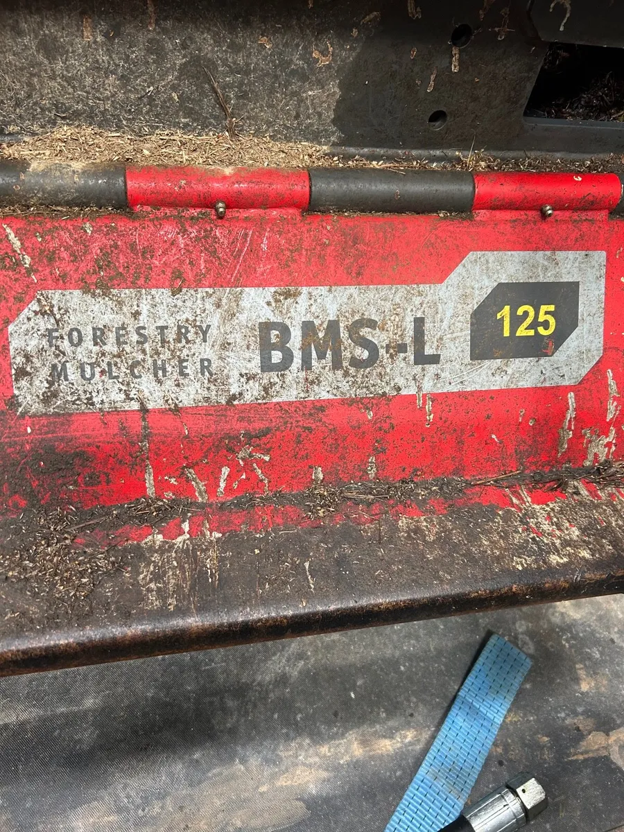 Seppi mulcher - Image 2