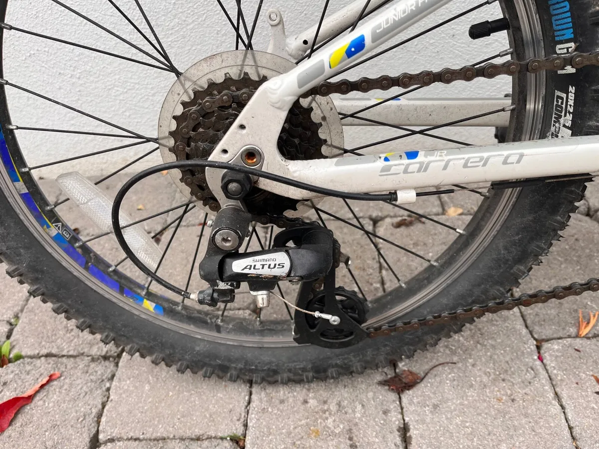 Carrera Luna Kids Bike - Image 2