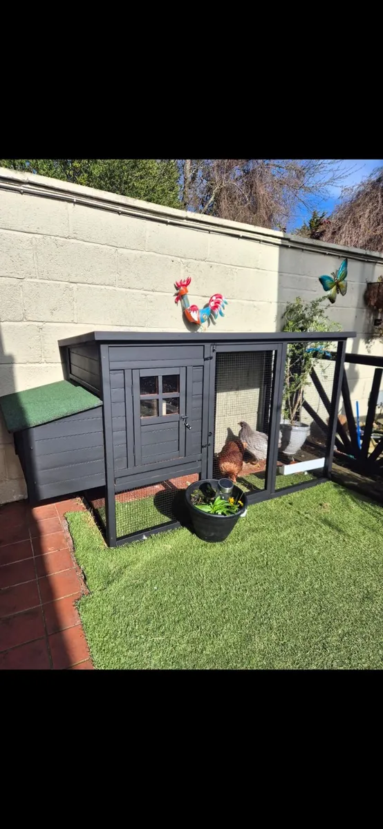 2 Chickens and coop - Image 1
