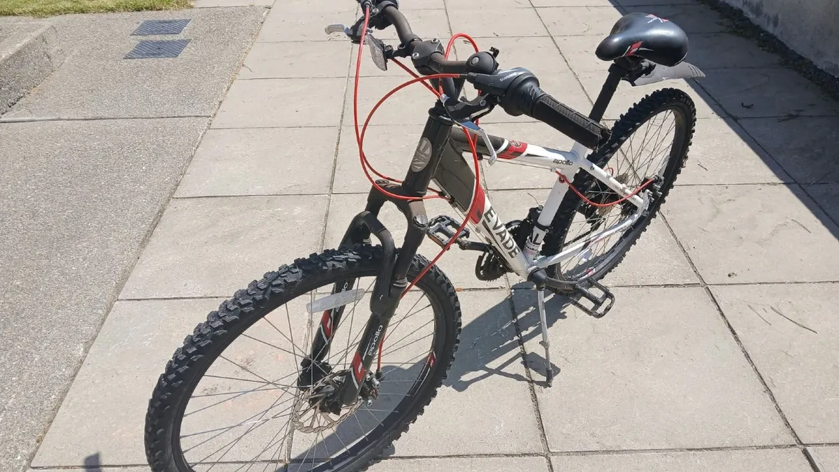 Family Bikes - Image 3