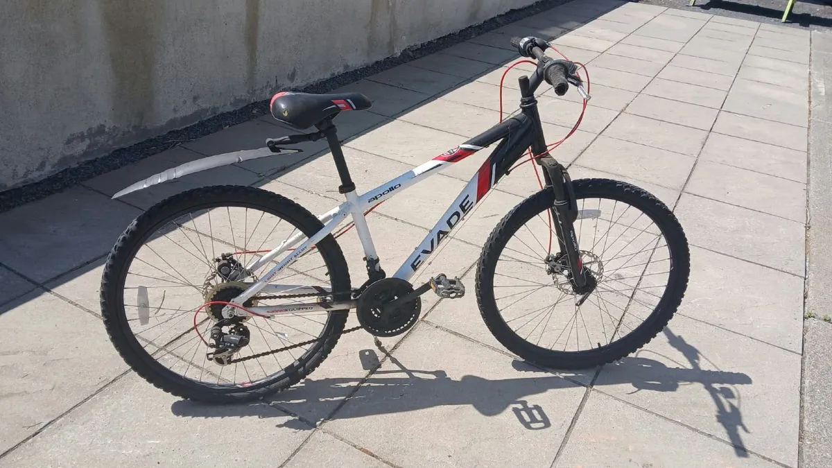 Family Bikes - Image 4